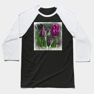 Dark Purple Tulips Opening Baseball T-Shirt